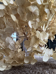 Similar image 22294802