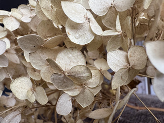 Similar image 22294803