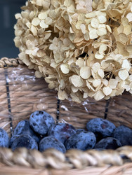 Similar image 22294807