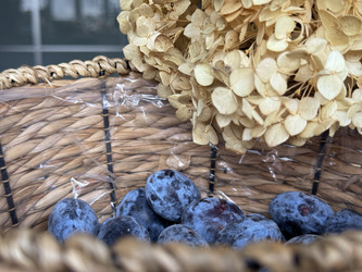 Similar image 22294808