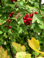 Similar image 22294280