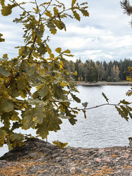 Similar image 22294281