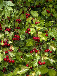 Similar image 22294282