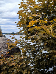 Similar image 22294283