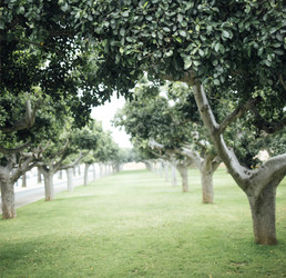 Similar image 22321466