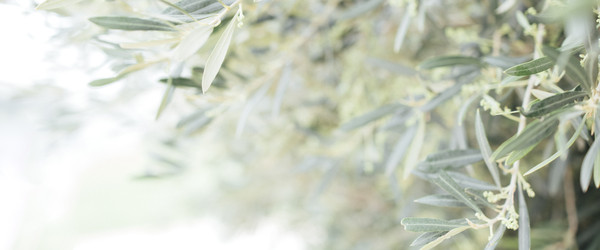 Similar image 22321521