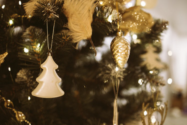 Similar image 22321522