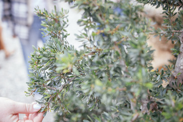 Similar image 22321543