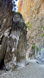 Similar image 22312675