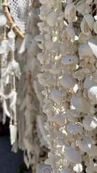 Similar image 22312720