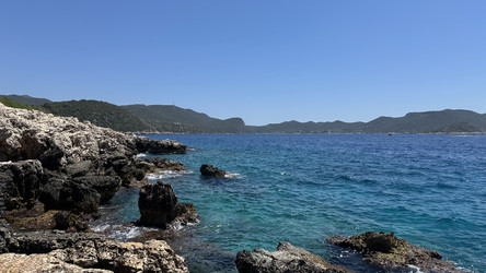 Similar image 22312729