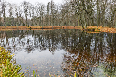 Similar image 22317226