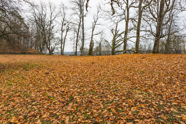 Similar image 22317227