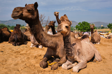 Similar image 22302029