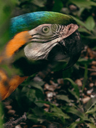 Similar image 22294285