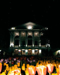 Similar image 22294287