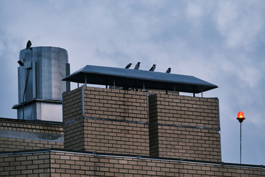 Similar image 22294289