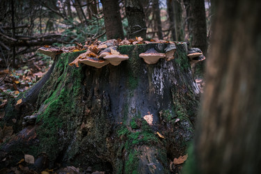 Similar image 22294291