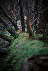 Similar image 22294292