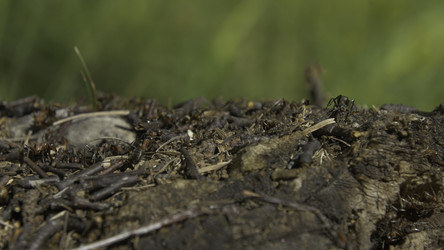 Similar image 22330986