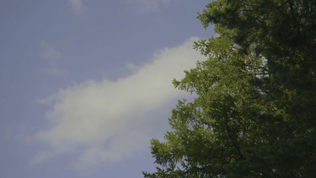 Similar image 22330987