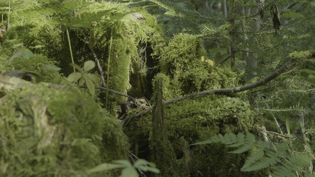 Similar image 22331285