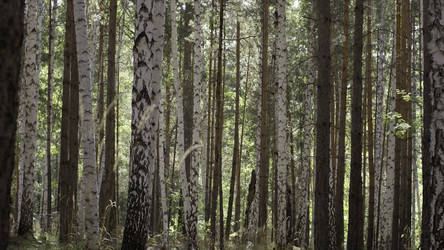 Similar image 22331286