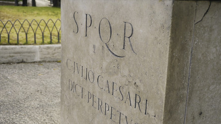 Similar image 22331504