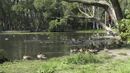 Similar image 22296442