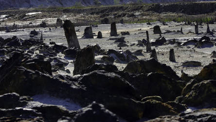 Similar image 22296542