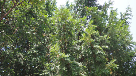 Similar image 22310633