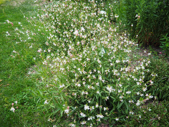 Similar image 22310634