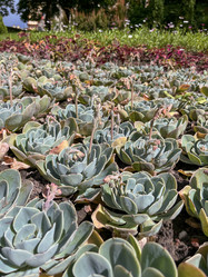 Similar image 22296380