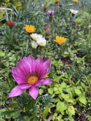 Similar image 22296381