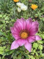 Similar image 22296382