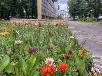 Similar image 22296383