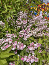 Similar image 22296384