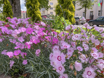 Similar image 22296385