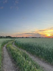 Similar image 22294294