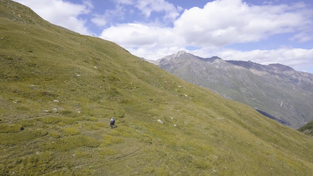 Similar image 22331288