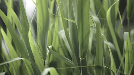 Similar image 22296572