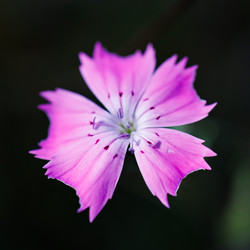 Similar image 22296312