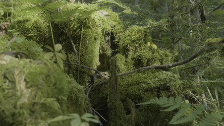 Similar image 22296805