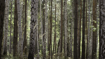 Similar image 22315650