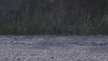 Similar image 22316249