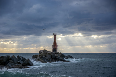 Similar image 22319663