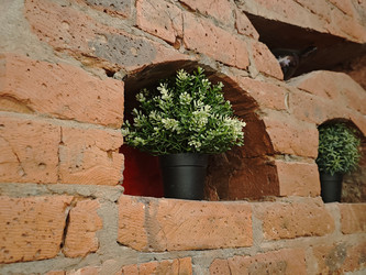 Similar image 22300999