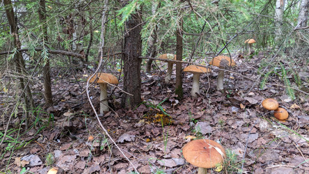 Similar image 22294322