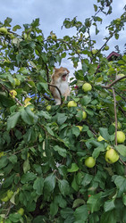 Similar image 22294323