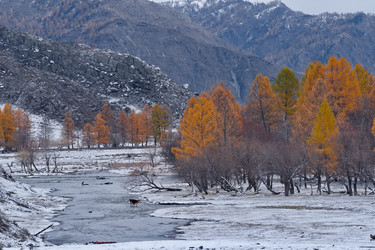 Similar image 22296313